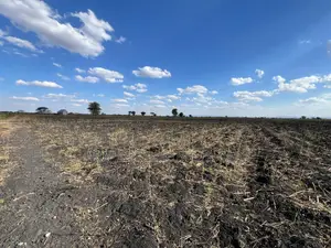 Farm for Sale With Fertile Black Soil in Manyara