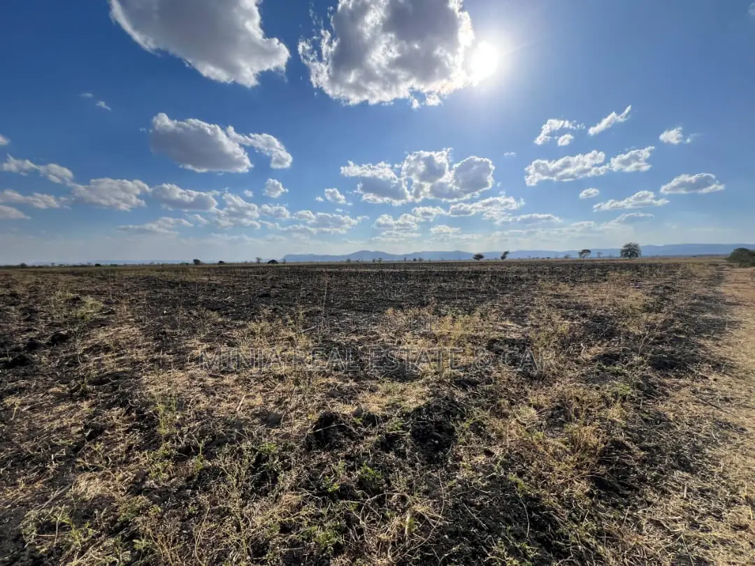 Farm for Sale With Fertile Black Soil in Manyara