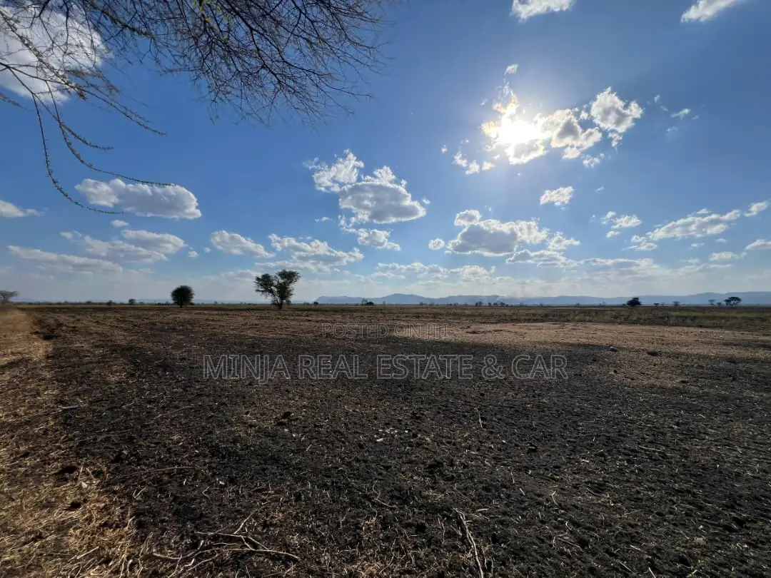 Farm for Sale With Fertile Black Soil in Manyara