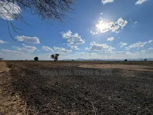 Farm for Sale With Fertile Black Soil in Manyara