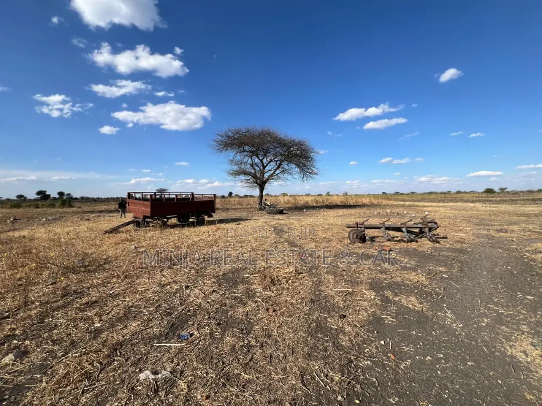 Farm for Sale With Fertile Black Soil in Manyara