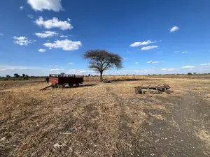 Farm for Sale With Fertile Black Soil in Manyara