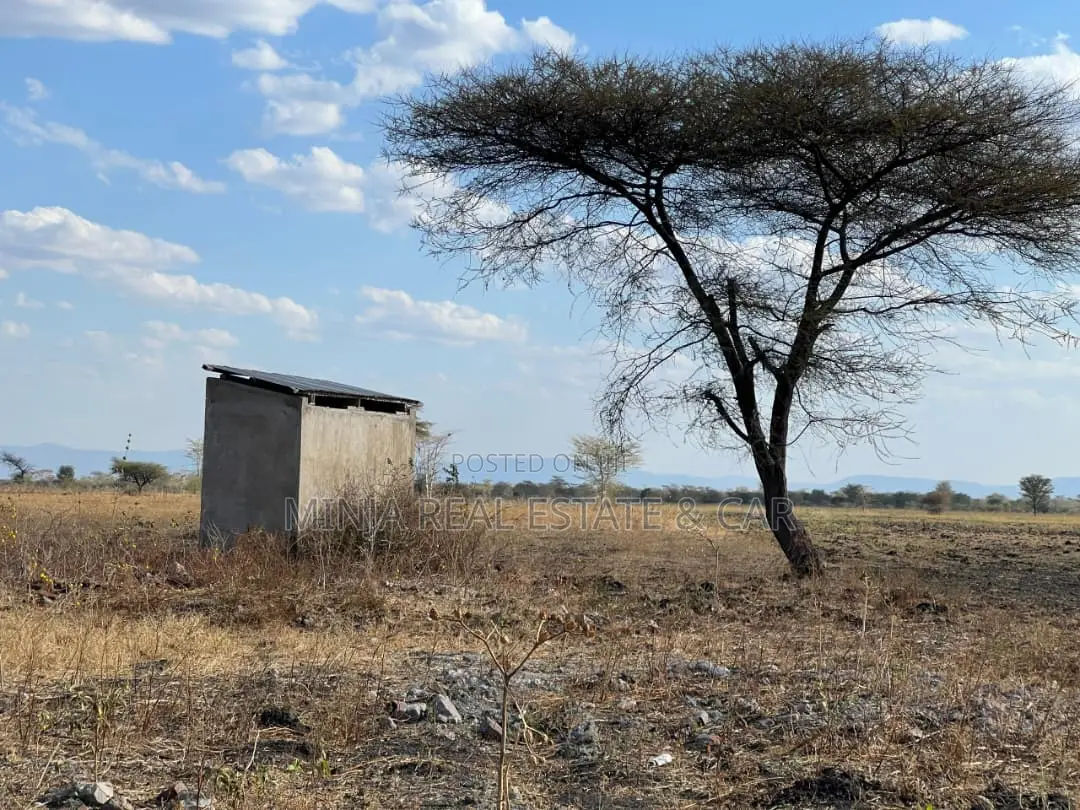 Farm for Sale With Fertile Black Soil in Manyara