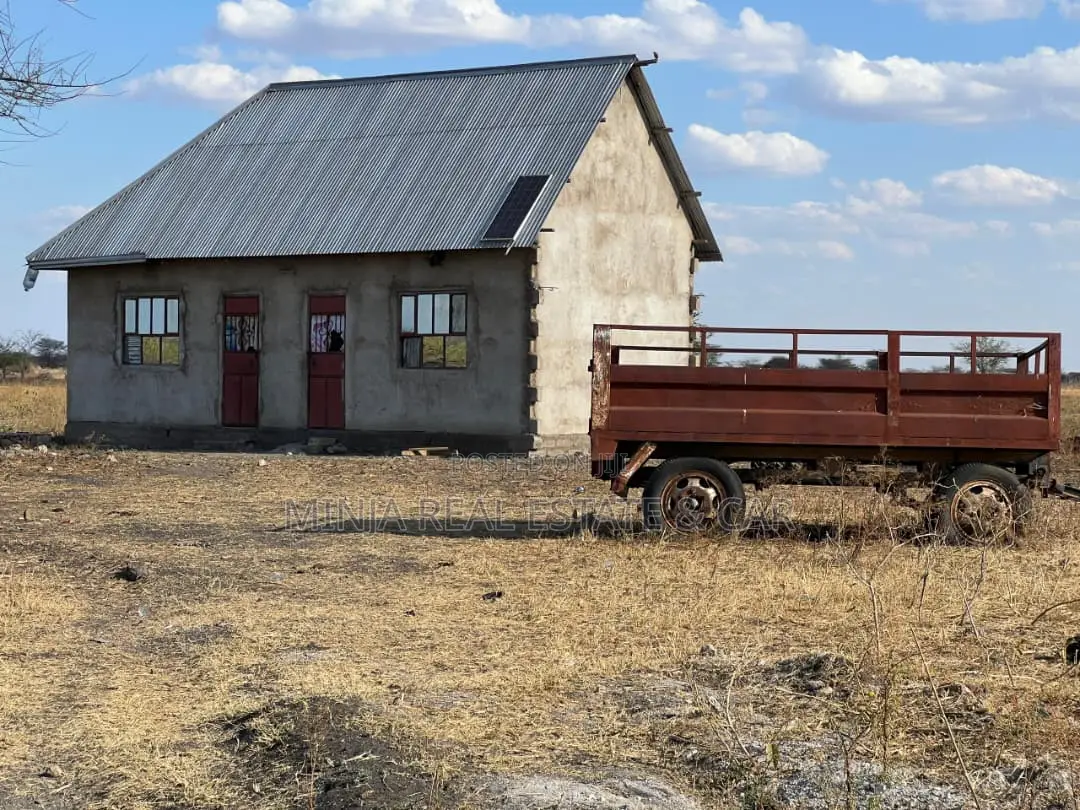 Farm for Sale With Fertile Black Soil in Manyara