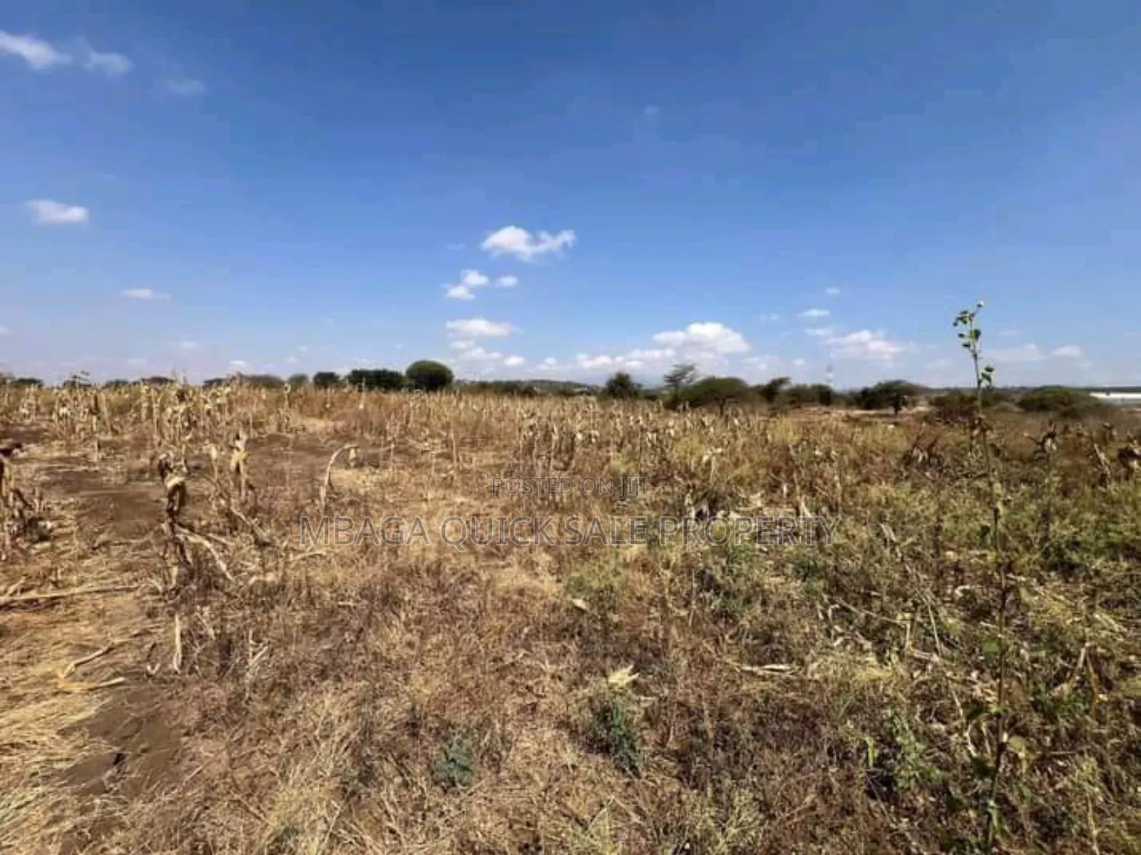 Plot With 5 Acres for Sale at Arusha