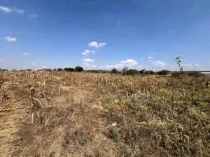 Plot With 5 Acres for Sale at Arusha