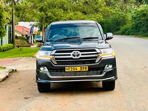 Toyota Land Cruiser 2005 Gray