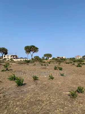 Corner Plot for Sale Mbweni