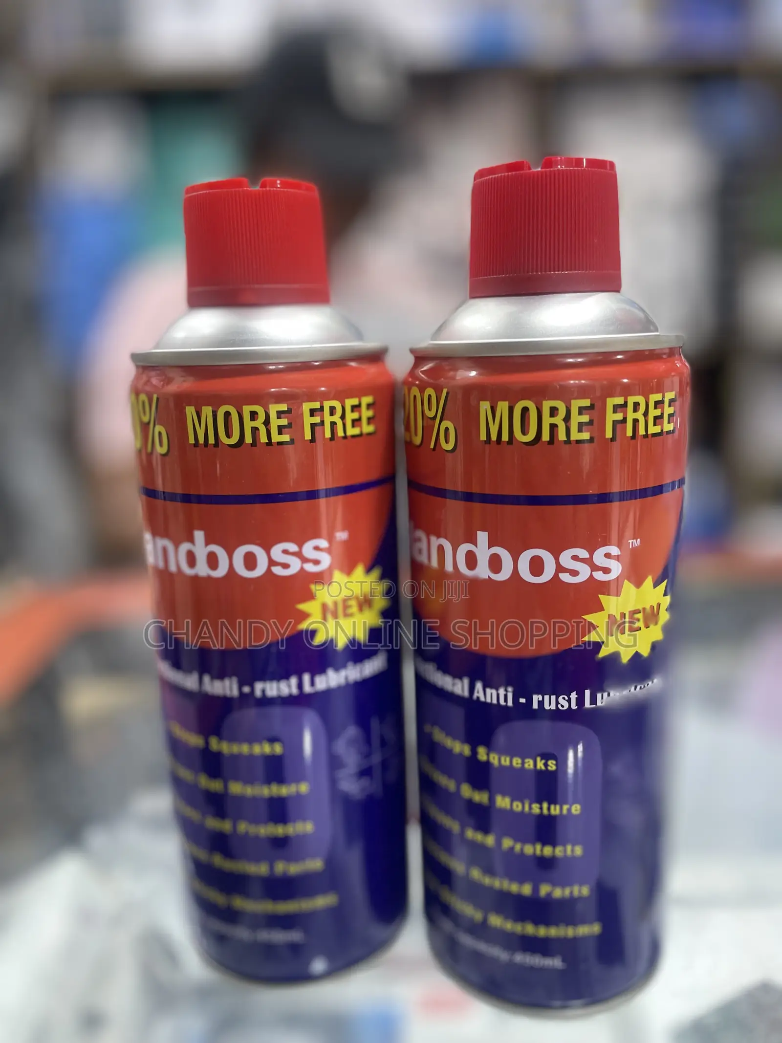 Anti-Rust Lubricant Spray, a Multi-Purpose Product