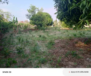 Kiwanja Kinauzwa Milioni 3.8 Ukonga Majohe Rada.