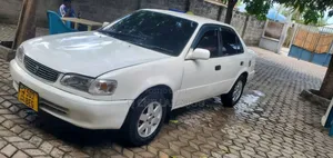 Toyota Corolla 1998 White