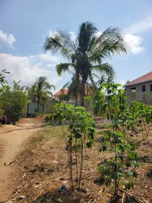Plot for Sale at Goba Kulangwa