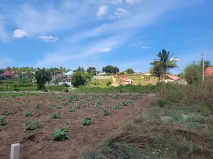 Mwembe Mtengu Viwanja