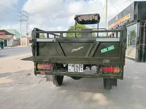 Bajaj Dominar 250 2024 Green