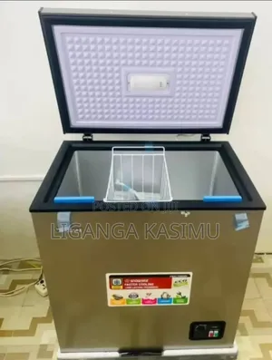 Snowsea Freezer 100l