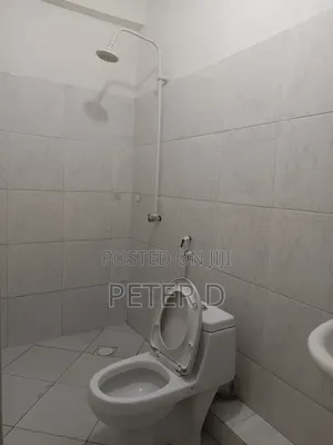 3bdrm Apartment in Kariakoo for rent