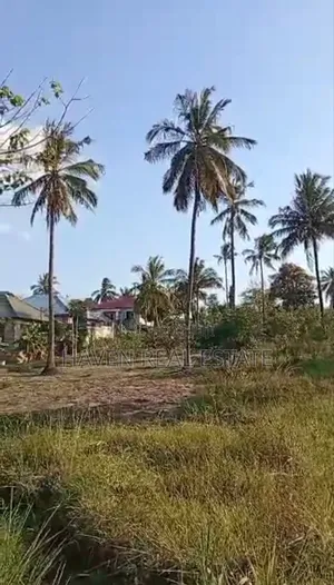 Viwanja Kinauzwa Goba Matosa
