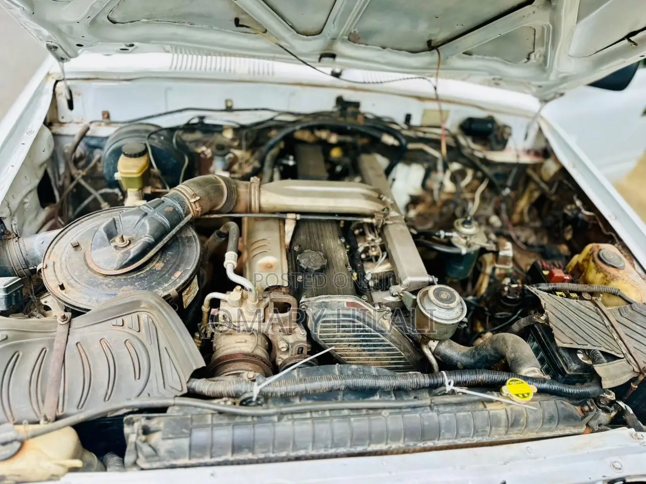 Toyota Land Cruiser 1992 White