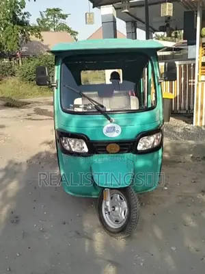 New Bajaj 2025 Gray