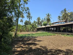Prime 3.7-acre Plot For Sale – Salasala Skanska, Dar Es Salaam