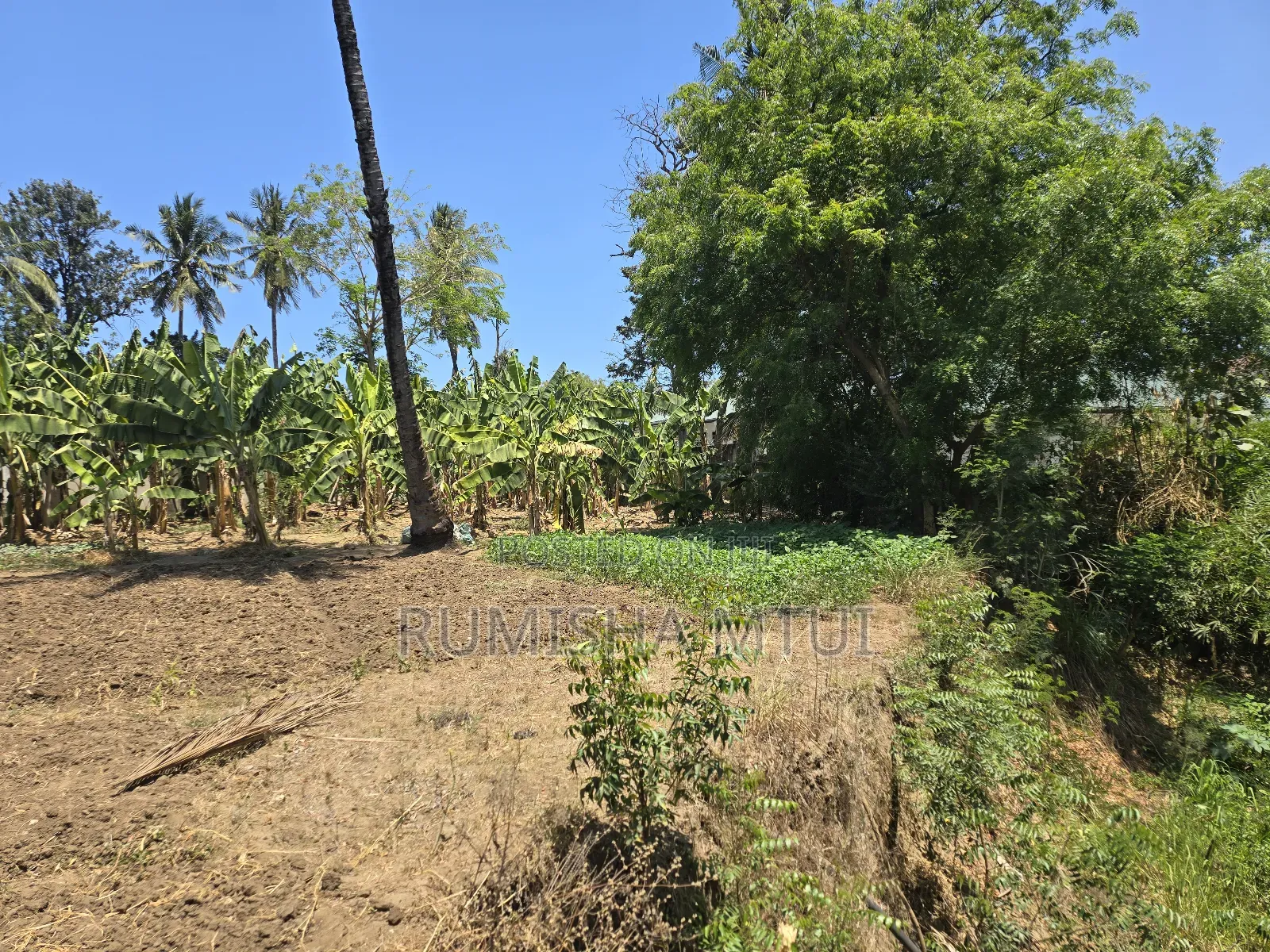Prime 3.7-acre Plot For Sale – Salasala Skanska, Dar Es Salaam