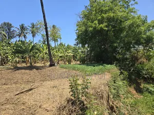 Prime 3.7-acre Plot For Sale – Salasala Skanska, Dar Es Salaam