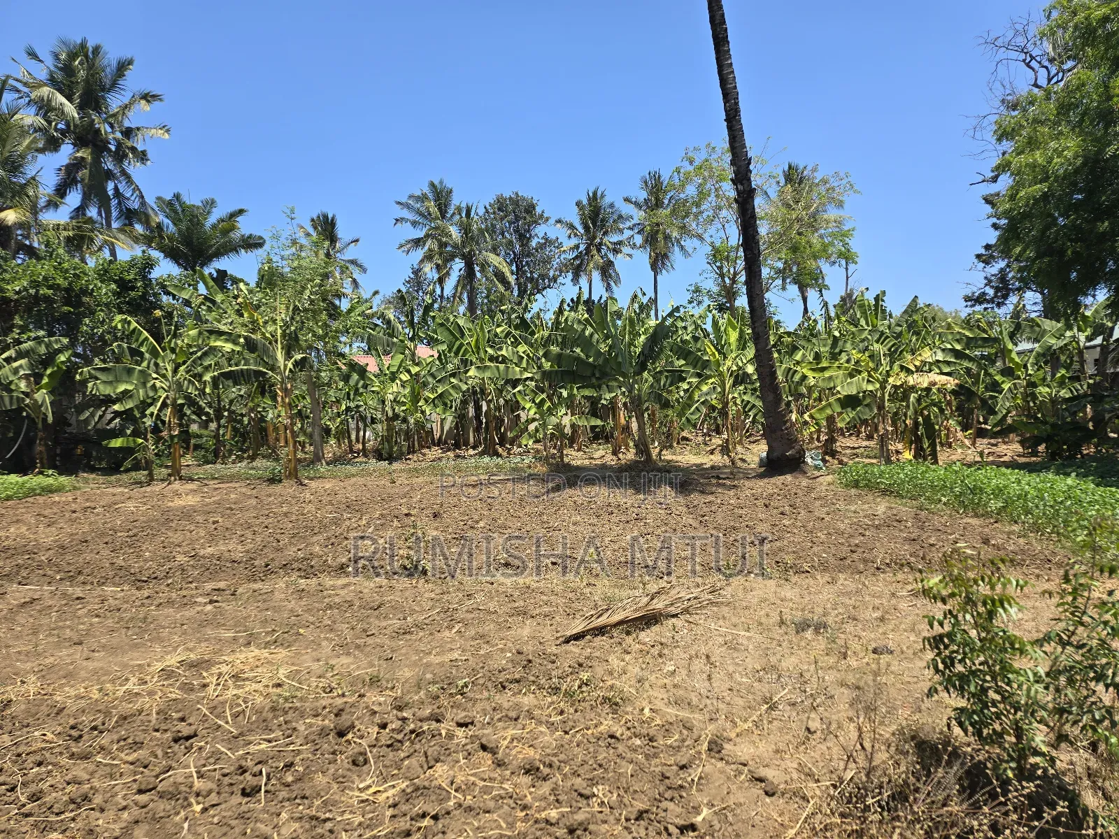 Prime 3.7-acre Plot For Sale – Salasala Skanska, Dar Es Salaam