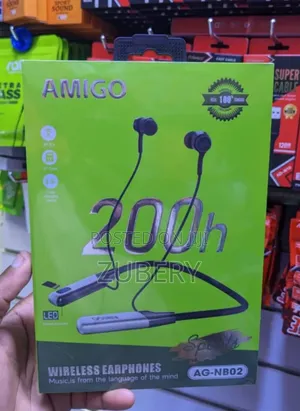 Amigo Earphones