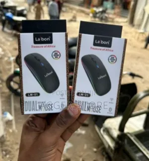 Laibon Wireless Rechargeable Dual Mouse
