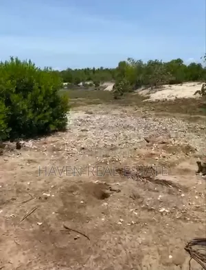 Beach Plot for Sale at Bwejuu Zanzibar