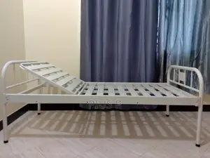 Hospital Bed With Mattress