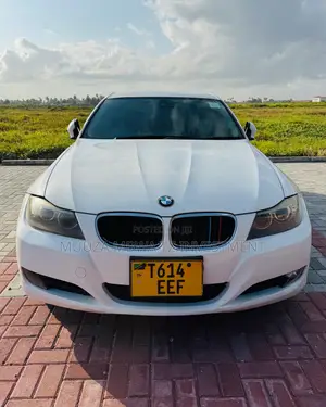 BMW 3 Series 2010 White