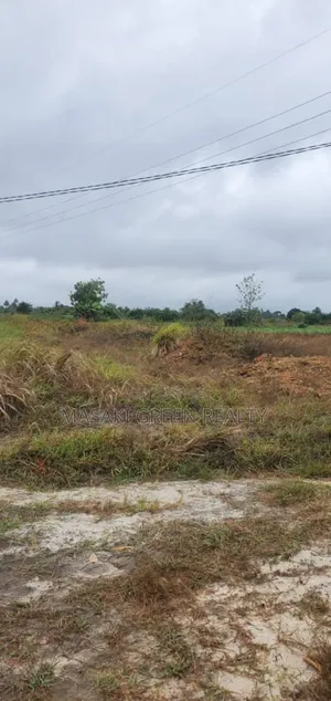 Plot for Sale at Mwasonga