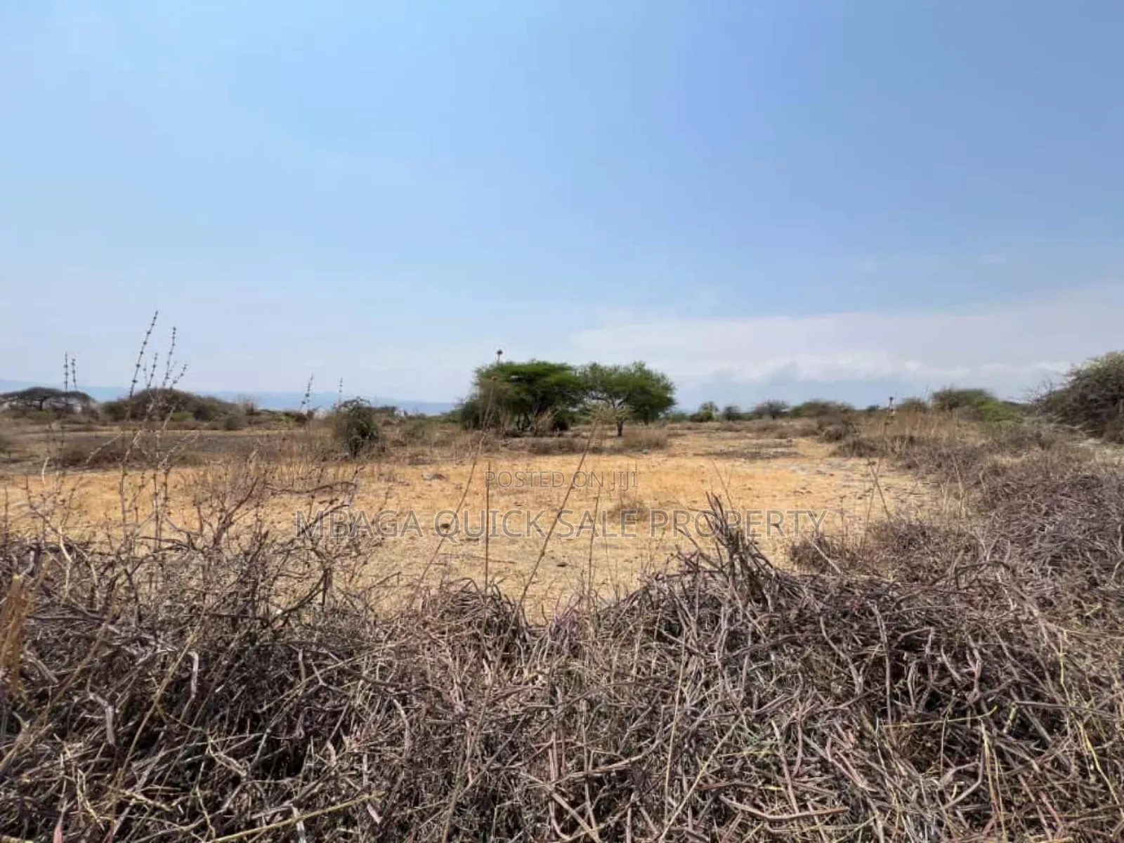 Beach Plot With 20 Acres for Sale at Manyara Arusha Mto Wa Mbu