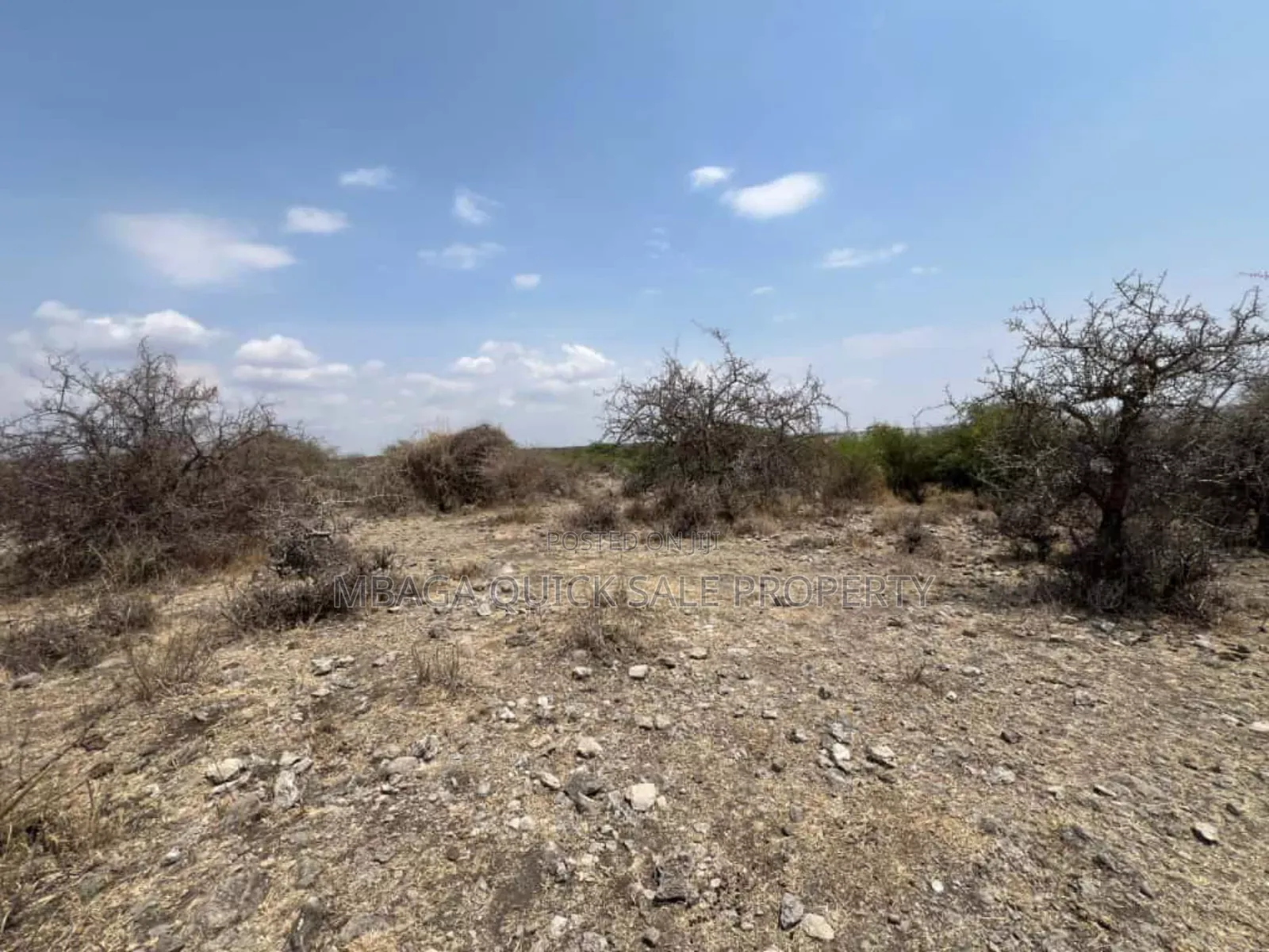Beach Plot With 20 Acres for Sale at Manyara Arusha Mto Wa Mbu