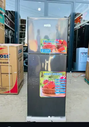 *Boss Fridge Bs110svr* *Ina Mikono* *
