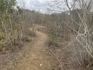 Shamba Linauzwa Kiwangwa Heka 300