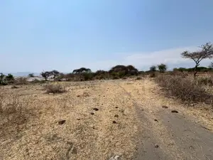 Plot for Sale Mto Wa Mbu Arusha
