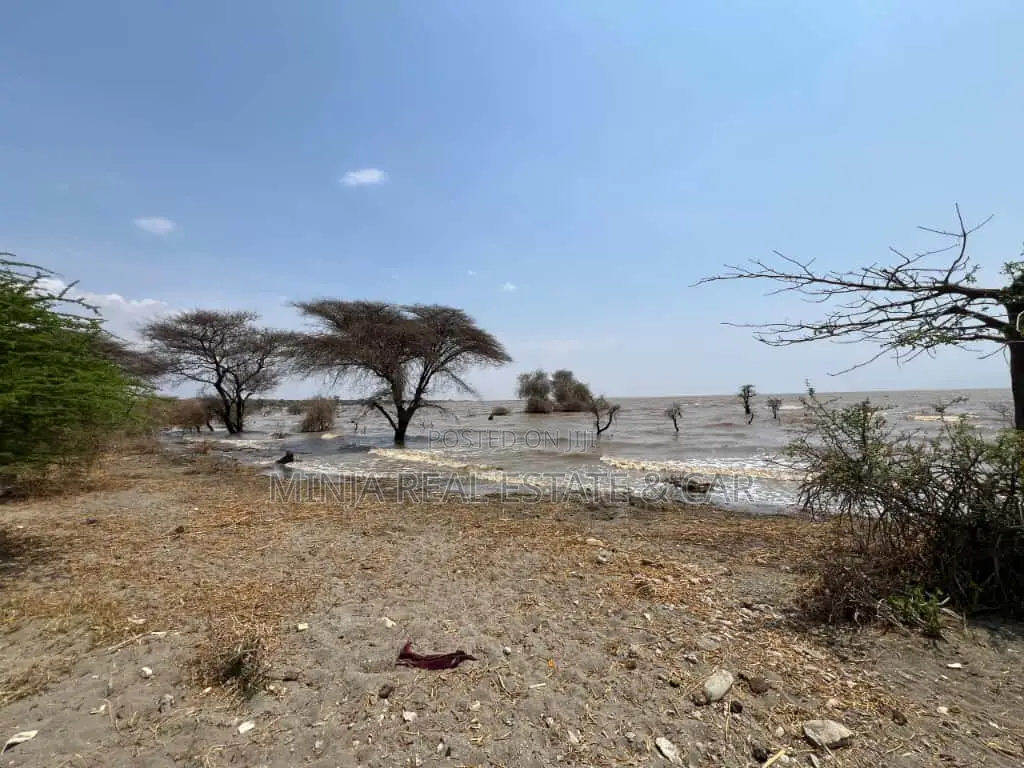 Plot for Sale Mto Wa Mbu Arusha