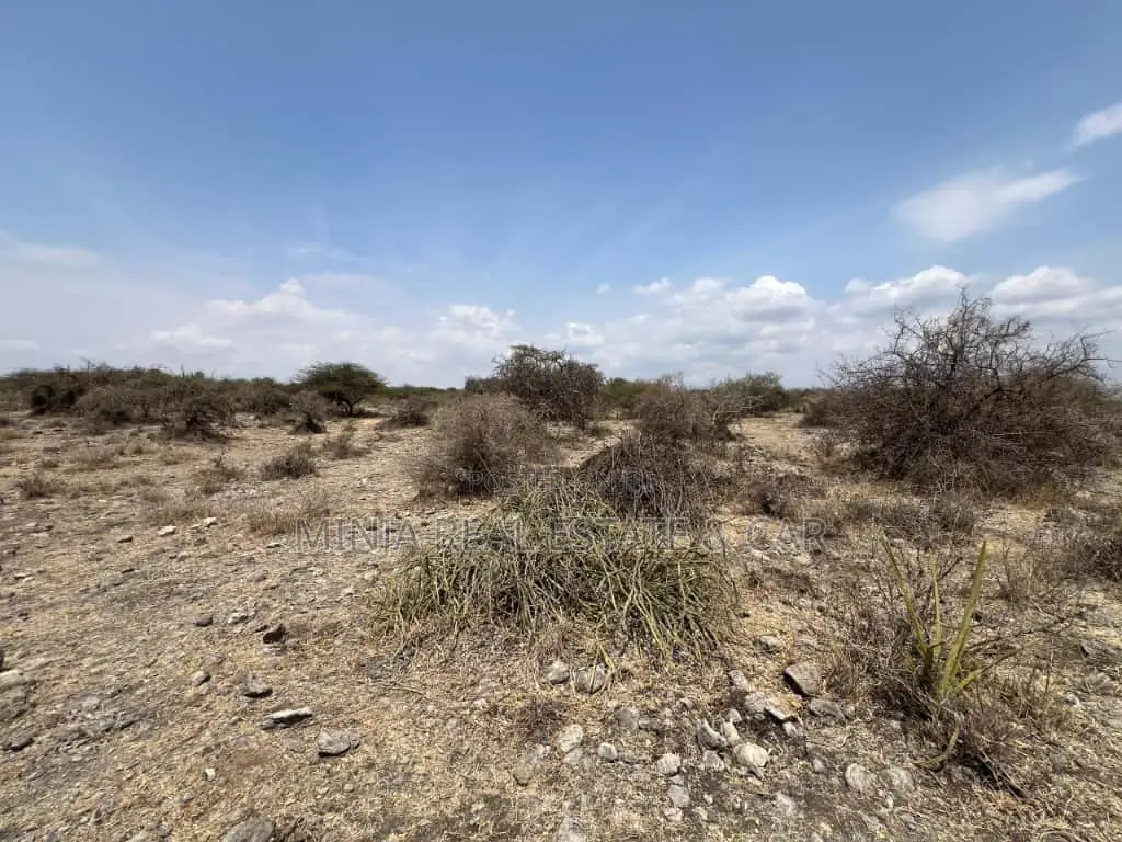 Plot for Sale Mto Wa Mbu Arusha