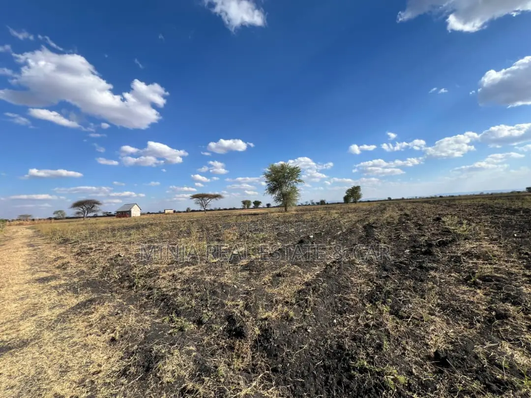 Plot for Sale Mto Wa Mbu Arusha