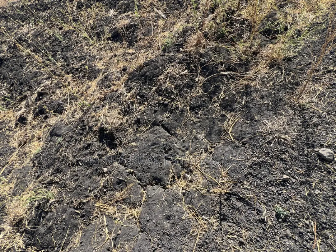 Plot for Sale Mto Wa Mbu Arusha
