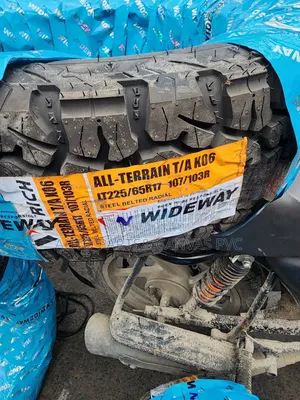 Wideway 225/65r17 a/v Rich All-Terrain Tyre