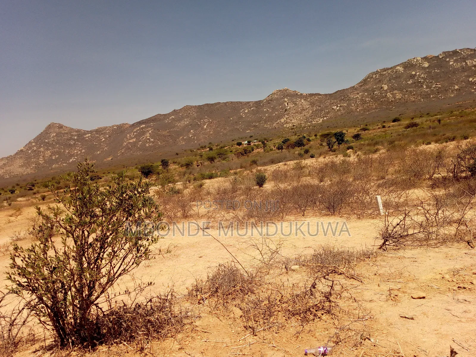 Mashamba Makubwa Dodoma Nara