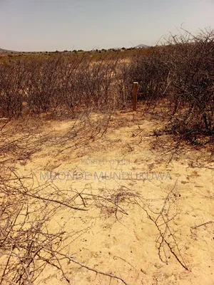 Mashamba Makubwa Dodoma Nara