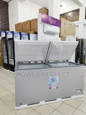 Roche Lire 508 Freezer — Power, Space Performance!