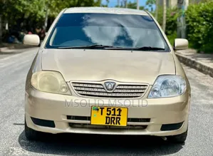 Toyota Allex 2004 Gold