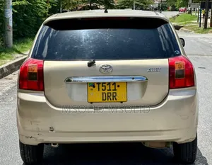 Toyota Allex 2004 Gold