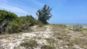 Beach Plot for Sale Per Acres Located at Tanga