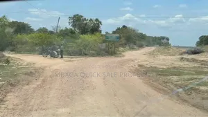 Beach Plot for Sale Per Acres Located at Tanga